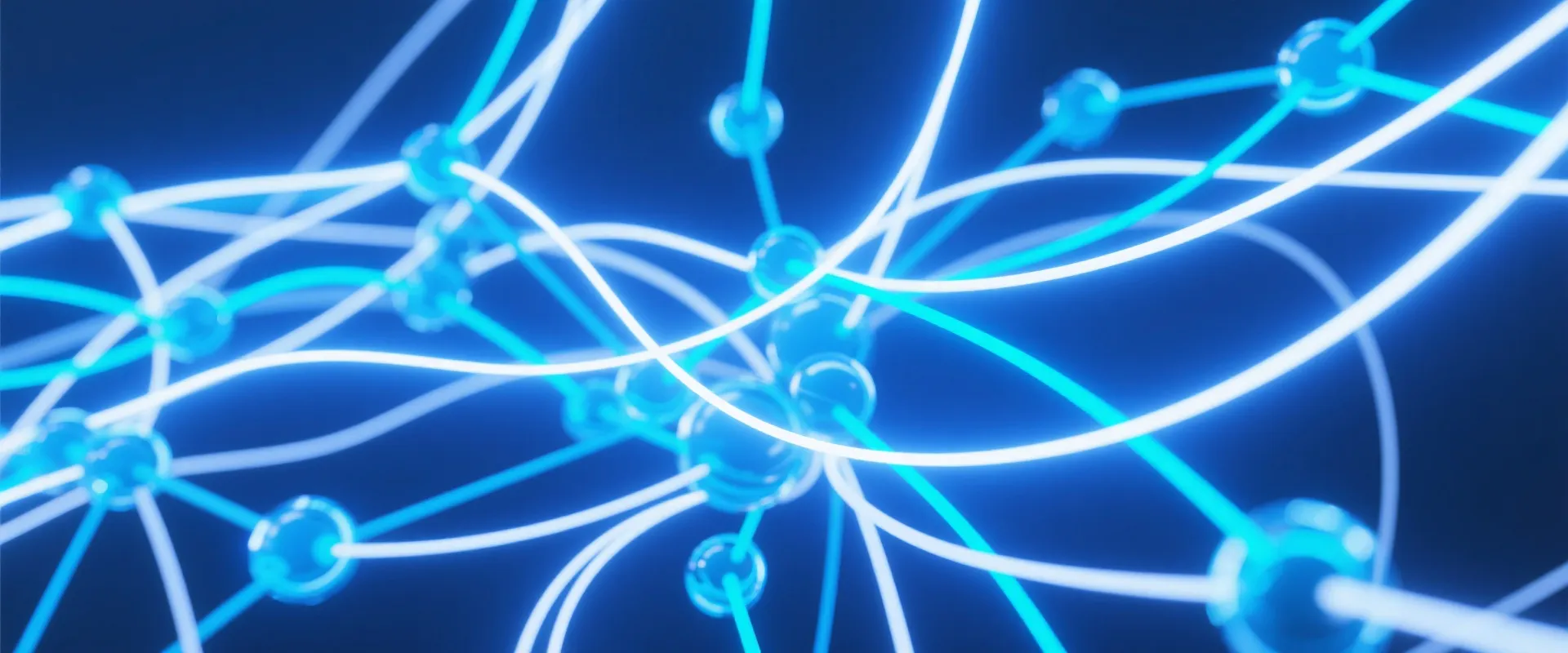 Network Connectivity